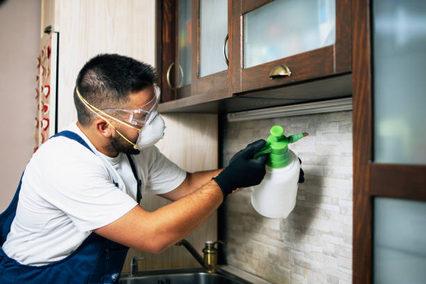 Best Residential Pest Control  in Oakfield, WI