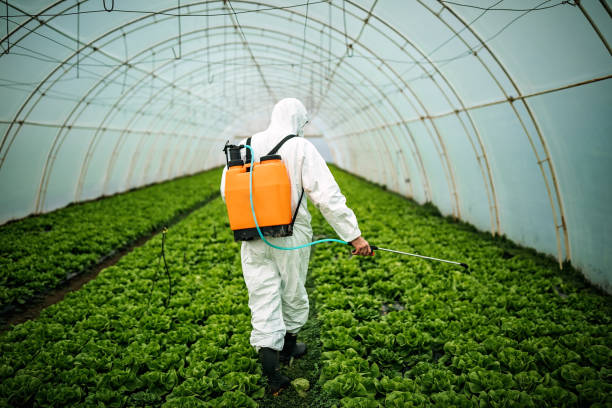 Pest Prevention Services in Oakfield, WI