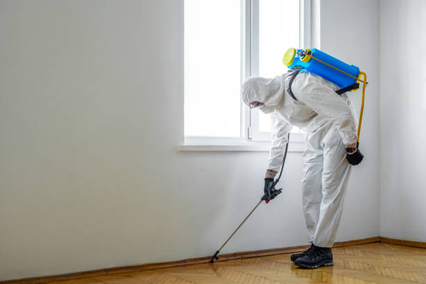 Best Rat Extermination Near Me  in Oakfield, WI
