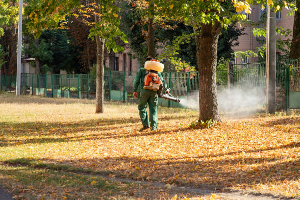 Best Pest Control Near Me in Oakfield, WI