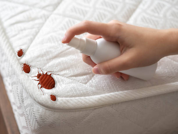 Trusted Oakfield, WI Pest Control Experts