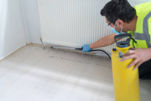 Best Pest Control Near Me  in Oakfield, WI