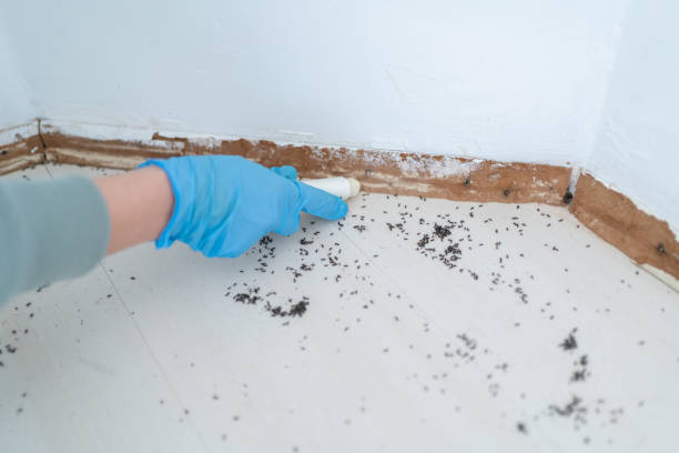 Best Emergency Pest Control  in Oakfield, WI
