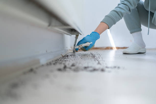 Best Commercial Pest Control Services  in Oakfield, WI