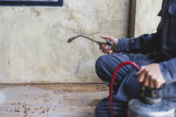 Best Best Pest Control Companies  in Oakfield, WI